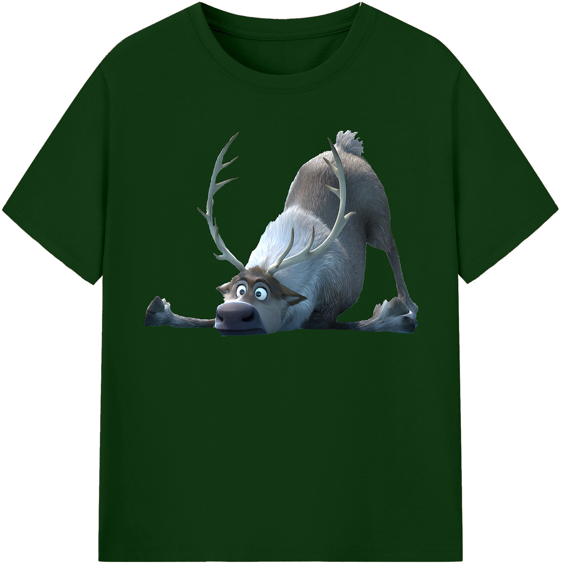 （画像用） アナと雪の女王 アンナ エルサ Frozen Anna Elsa 綿100％半袖Tシャツ（フロントプリント）